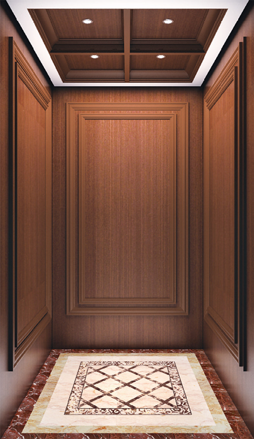 Veneer decoration villa elevator QP-V002