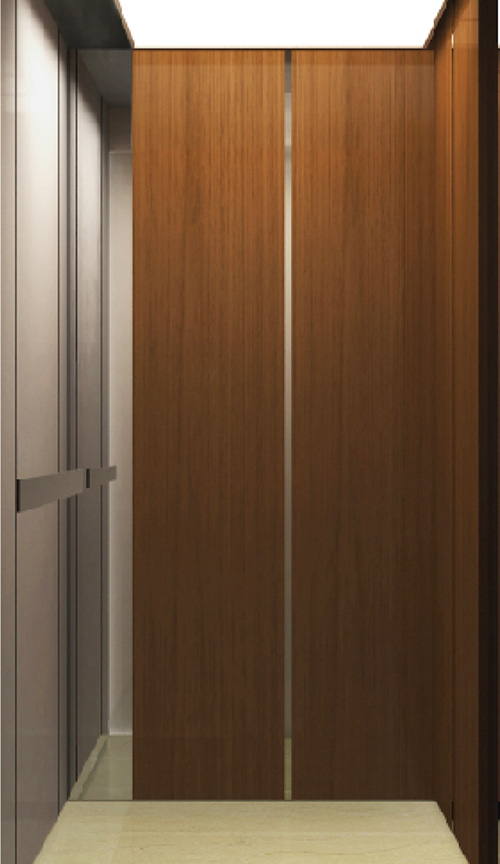 Hairline stainless steel, wood decoration,mirror stainless steel villa elevator QP-V008