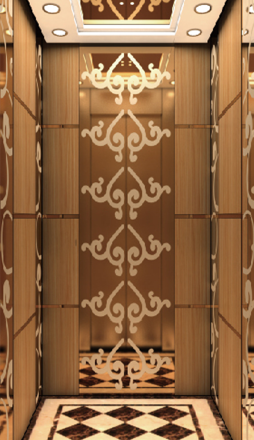 Titanium gold mirror etched stainless steel, both sides of the decorative wood inlaid titanium stainless steel villa elevator QP-V009