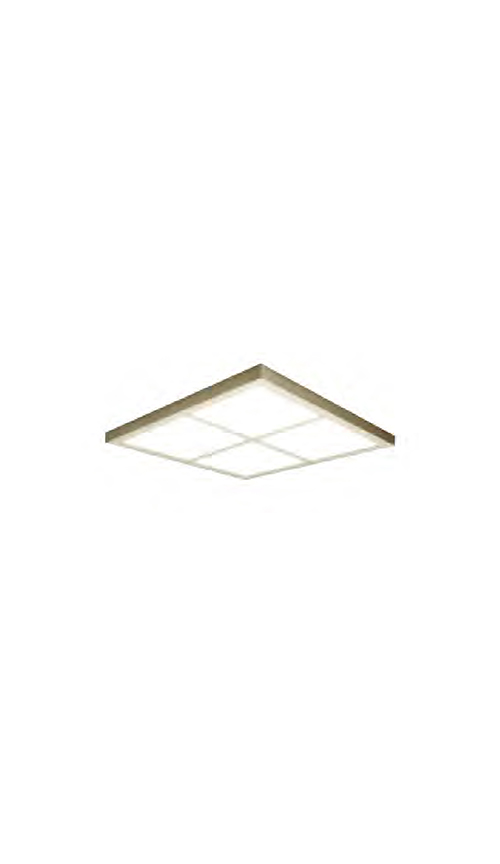 Steel plate painted frame, with white acrylic light transmission integral-type ceiling series QP-D11